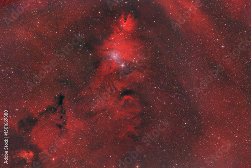 Cone Nebula, and the Christmas Tree Cluster