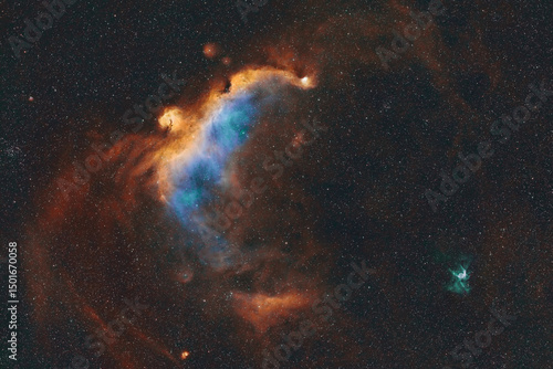 Seagull Nebula (IC2177) and Thor's Helmet Nebula (NGC2359)