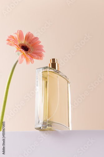 Minimalist style perfume bottle and pink flower