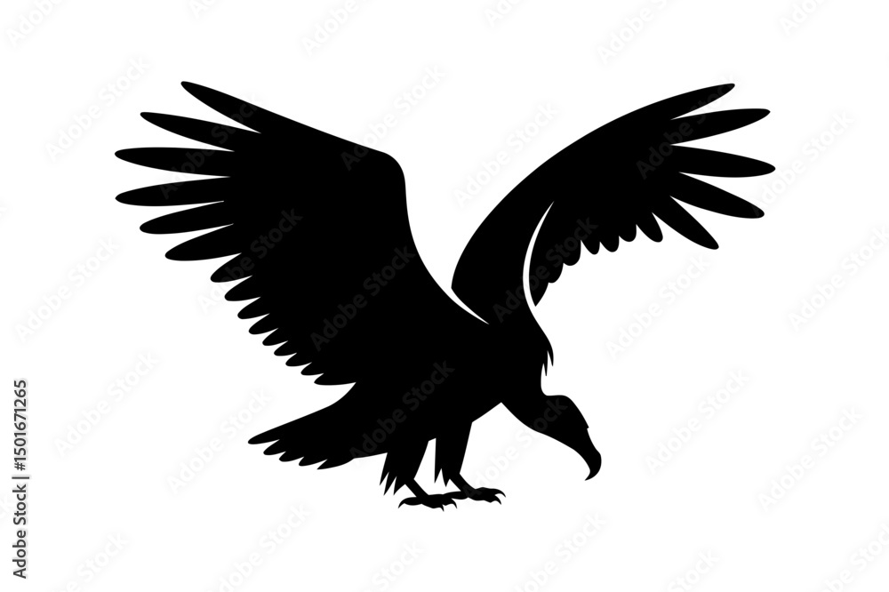 Fototapeta premium Vulture silhouette flying bird scavenger animal