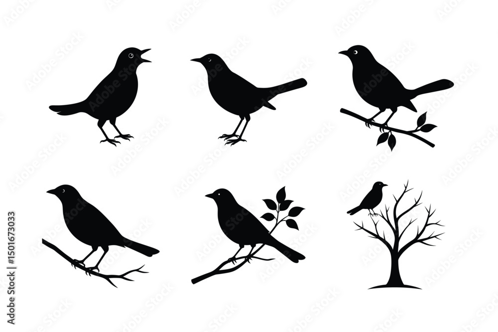 Obraz premium Blackbird silhouette bundle illustration, Blackbird silhouette vector 