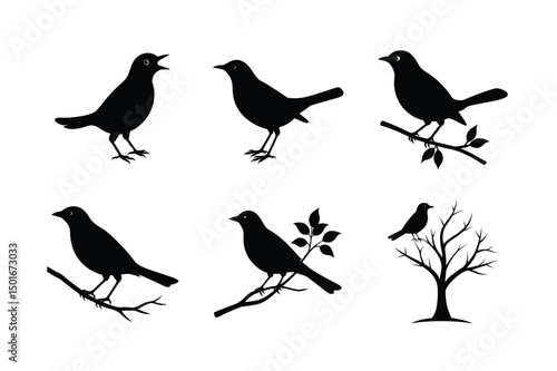 Wallpaper Mural Blackbird silhouette bundle  illustration, Blackbird silhouette  vector  Torontodigital.ca