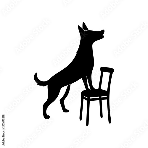 Silhouette of dog standing on chair