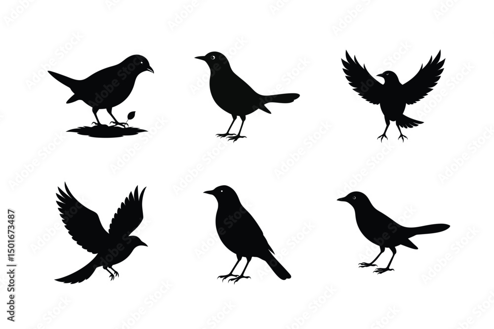 Fototapeta premium Blackbird silhouette bundle illustration, Blackbird silhouette vector 