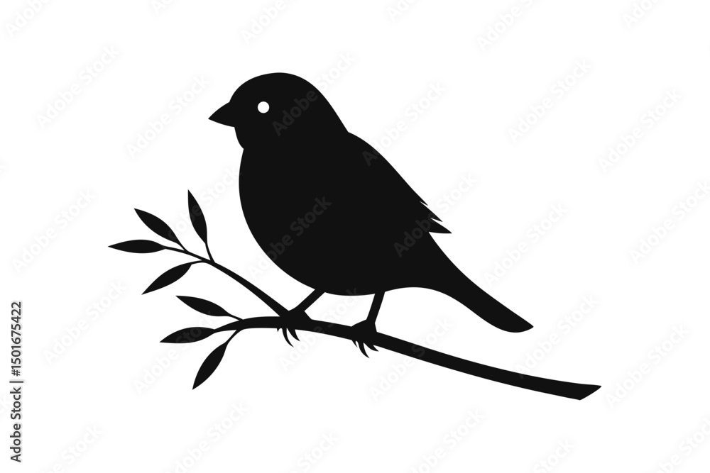 Obraz premium bird on a branch