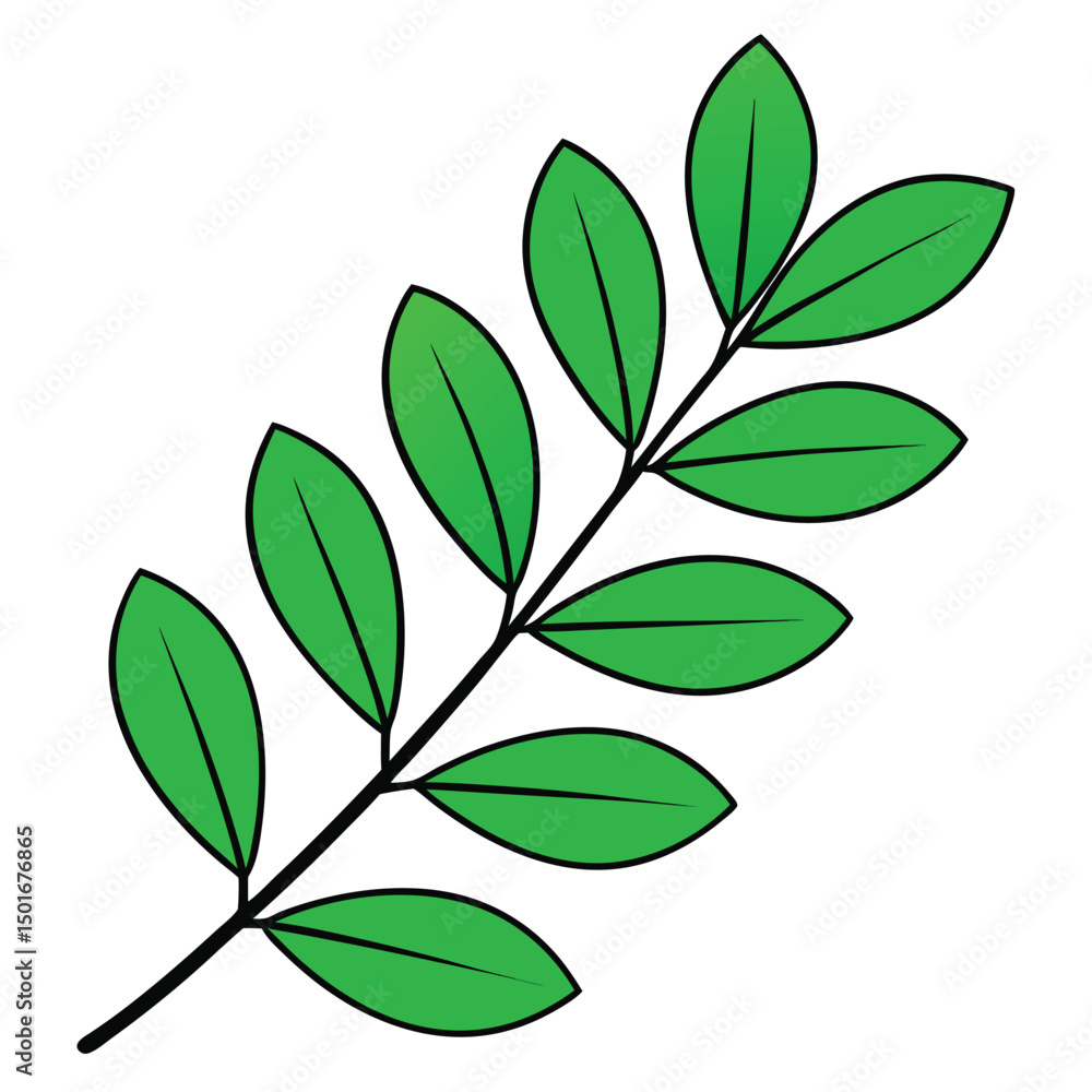 Obraz premium leaves on a white background