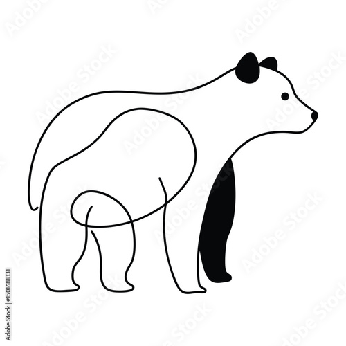  bear vector illustration