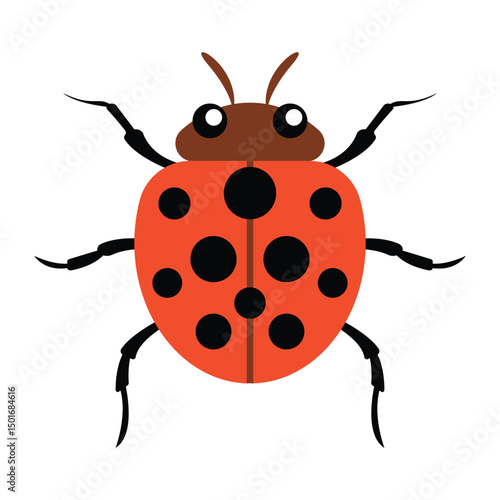 Cartoon Ladybug