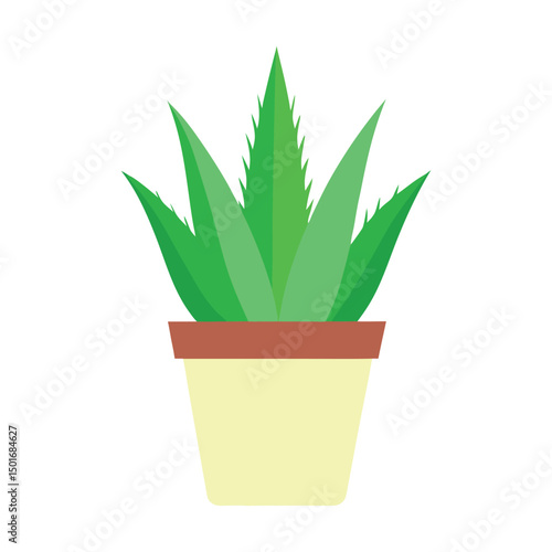 aloe vera tree in tub vector