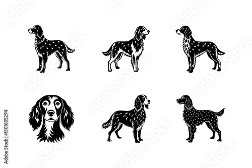 English Setter Breed Dog Illustration

