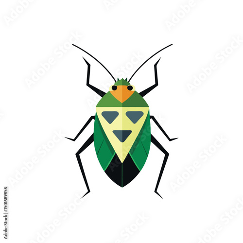 stink bug vector