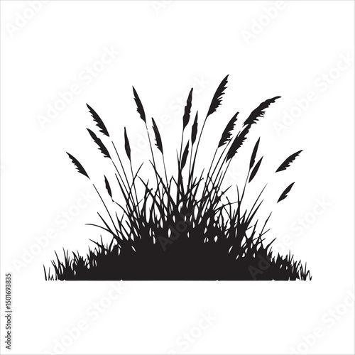 Silhouette of Wild Grass and Wheat Stalks on White Background