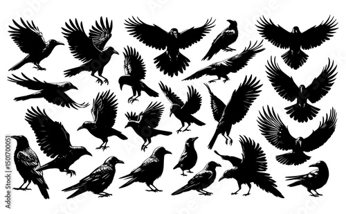 set of crow silhouettes with flying wings, a wildlife vector illustration of a bird symbol