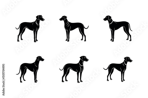 Plott Hound Breed Dog Illustration