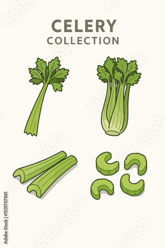 collection of vector illustrations of celery