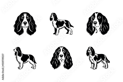 Welsh Springer Spaniel Dog Illustration