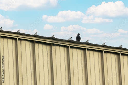 Black Bird Sitting on Edge of Roof Under Blue Sky
