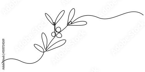 Continuous one single line of mistletoe winter flower isolated on white background, A simple, continuous line drawing of holly and mistletoe, perfect for a Christmas or New Year's greeting card.