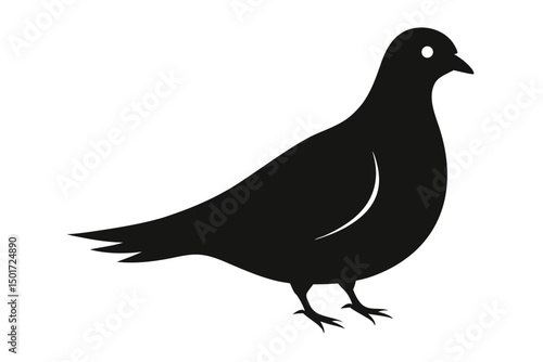 pigeon silhouette vector