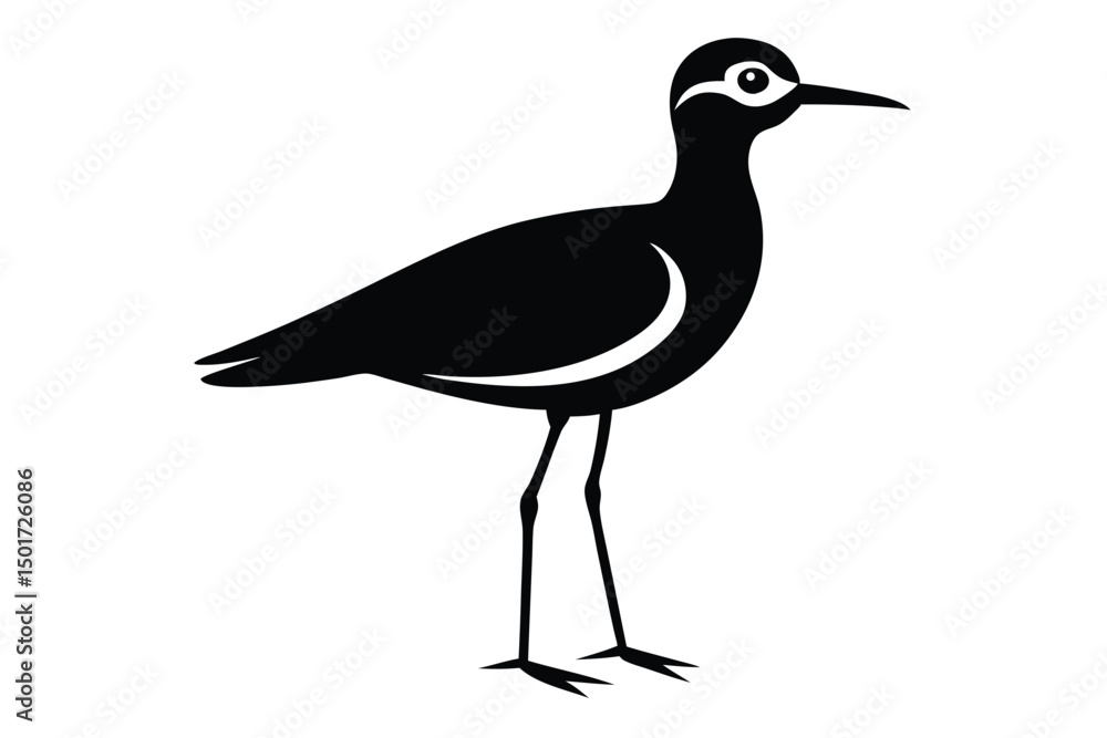 Obraz premium grey heron isolated on white