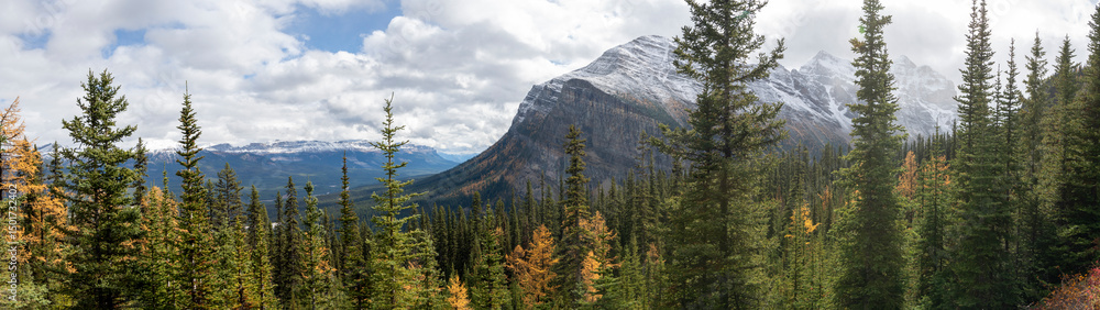 Fototapeta premium Stunning panoramic view of snow-capped peaks and vibrant larch trees during fall in the Canadian Rockies, creating a picturesque landscape near Canmore, Alberta