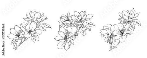 Magnolia flower arrangement line art on white background. Silhouette magnolia botanical hand drawn element for wedding, invitation frame design, vector illustration