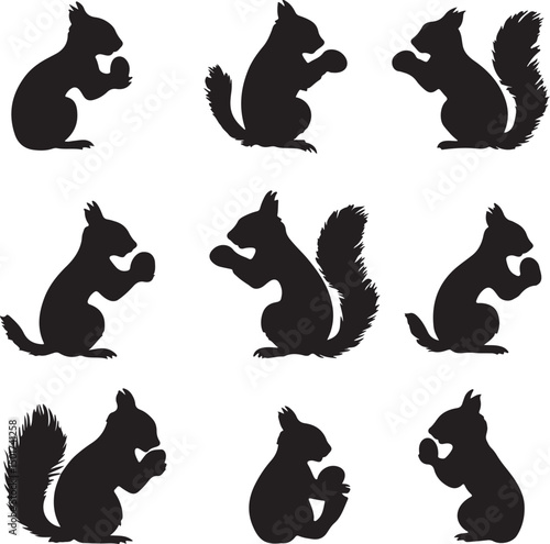 Squirrel Silhouettes Vector Art: Black and White Graphic Design of Cute Squirrels Holding Nuts for Wildlife, Nature, and Animal-Themed Projects