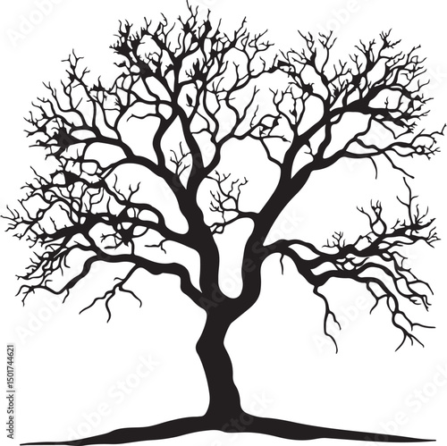 Bare Tree Silhouette Vector Illustration: Black and White Graphic of a Leafless Tree in Winter, Nature Art for Design Projects