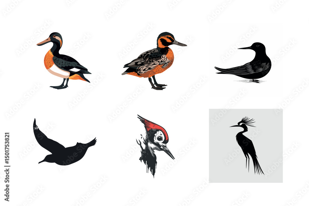 Obraz premium Collection of diverse bird illustrations and silhouettes