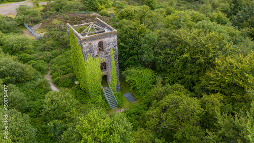 Aerial view of historic ruins surrounded by lush green forest and treetops, St Ann's Chapel, Gunnislake, England.