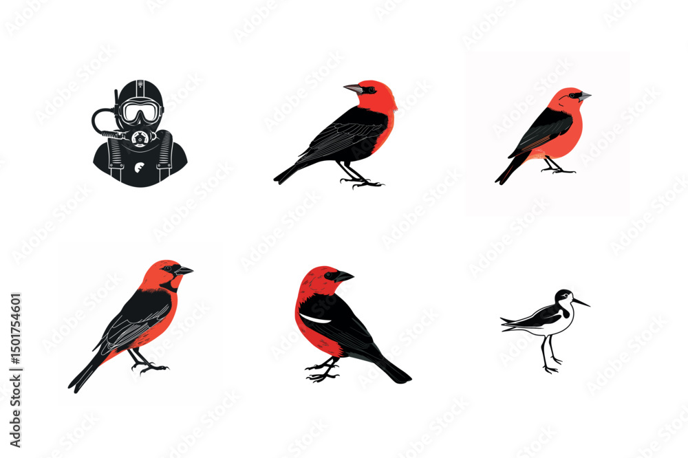 Obraz premium Red bird illustrations with scuba diver graphic