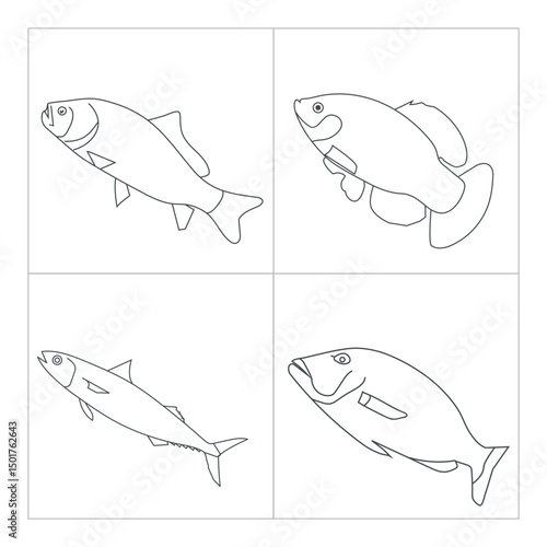  Fish line art illustration for coloring children book 