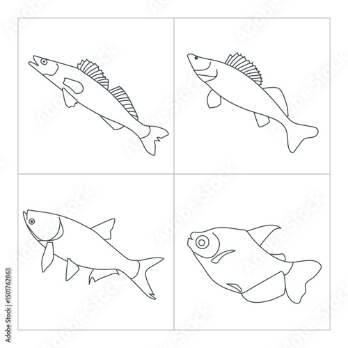 Fish line art illustration for coloring children book 