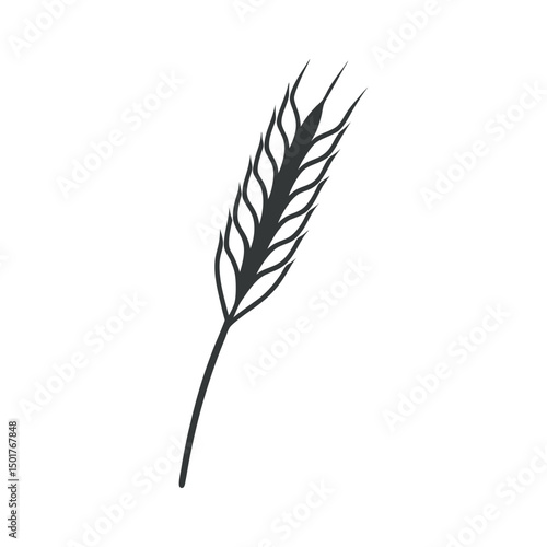 Vector art of Wheat grain ear isolated on white background, a cereal plant harvest