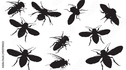Free Fly Silhouette Vector , black silhouettes isolated on white background