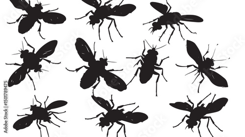 Free Fly Silhouette Vector , black silhouettes isolated on white background