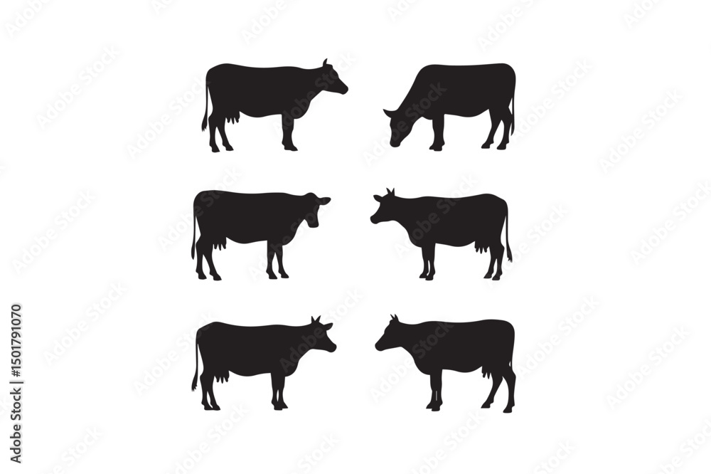 Fototapeta premium silhouettes of cows