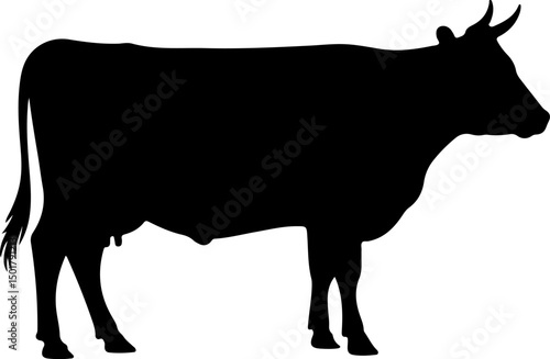 Cow silhouette and line art vector illustration.