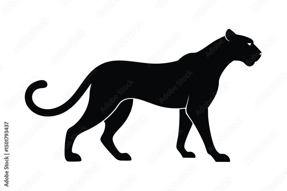 Obraz premium black cat silhouette