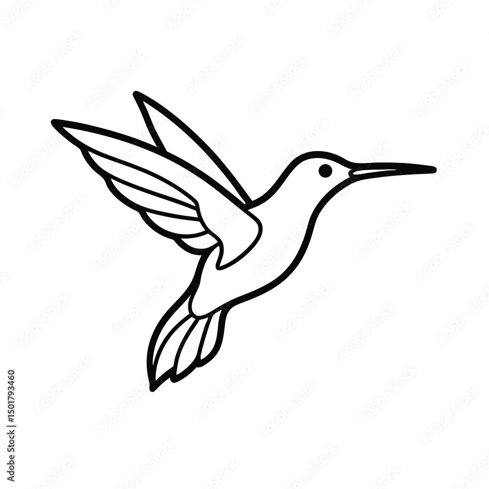 Obraz premium hummingbird vector illustration