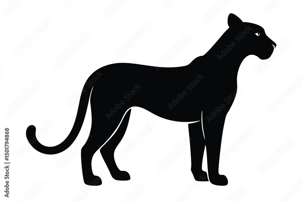 Obraz premium silhouette of a horse