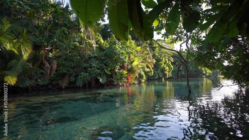 Crystal clear waters surrounded by lush green foliage in a tropical environment on a sunny afternoon 