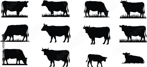 Farm, Animal, Livestock, Cow, Bull - Agricultural Icons