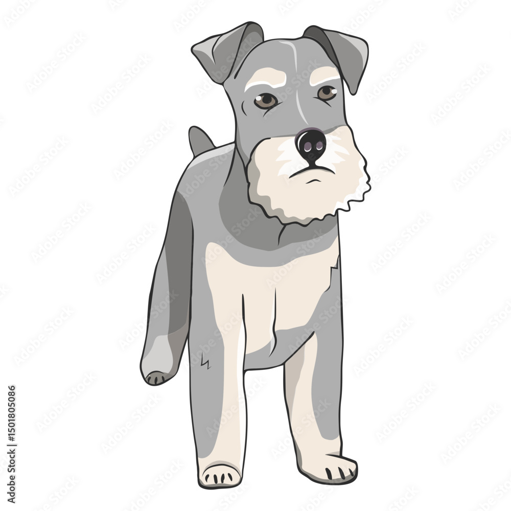 Fototapeta premium Schnauzer dog illustration