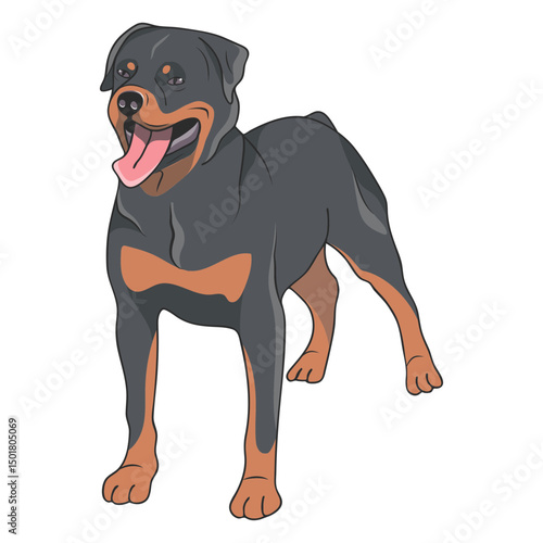 Rottweiler dog illustration