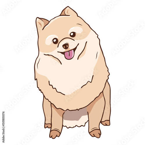 Pomeranian dog sitting illustration