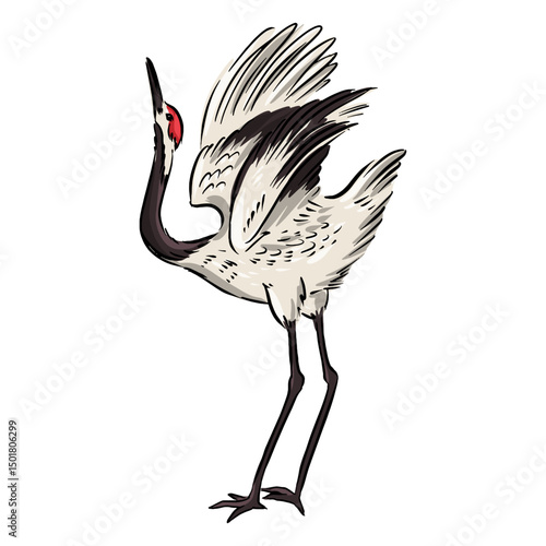 Head up crane bird