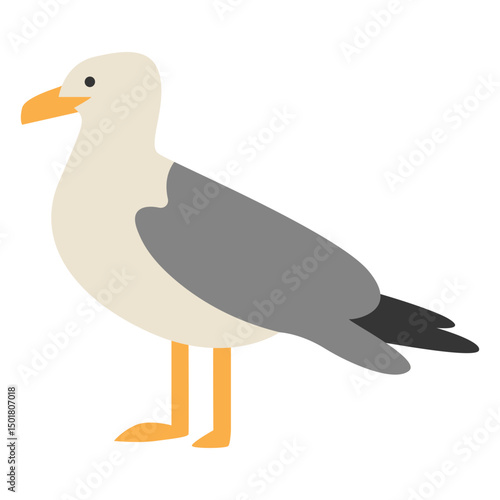 Seagull bird side-view