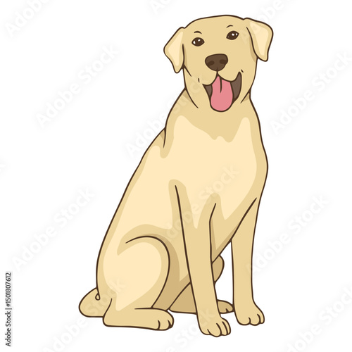 Golden retriever animal dog