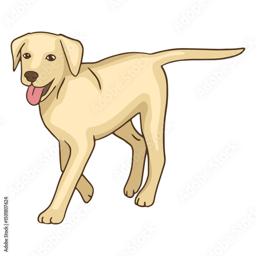 Golden retriever pet dog